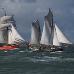 Haabet forrest på Limfjorden